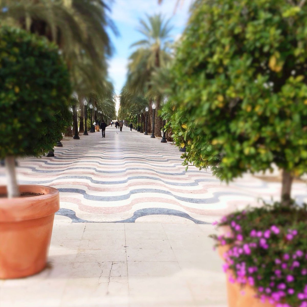 alicantenfotos's tweet photo. Explanada de España. Alicante #picoftheday #instagood #alicante #alacant #turismo #tourist #lovealicante #love #travelgram #travel #alicantegram #explanda #alicanteespectacular @gentedealicante @Alicantinos @Alicante_City https://t.co/KKT3BUUdCG