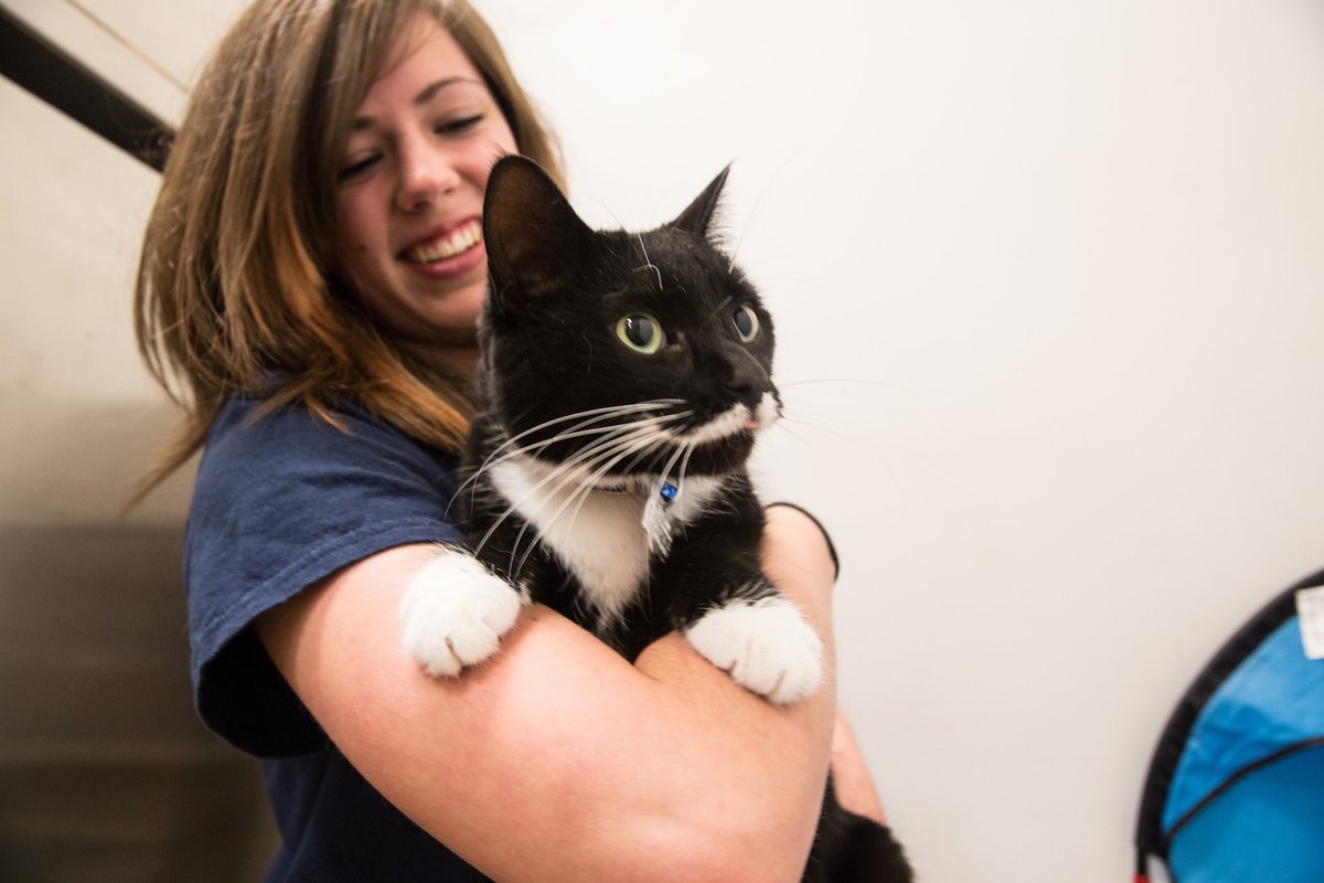 PetSmartChariTs's tweet photo. Looking for ways to serve in your #community? Help us end pet homelessness! Find an organization near you here: https://t.co/RvQEFjPwyE https://t.co/thPt2VR3kt