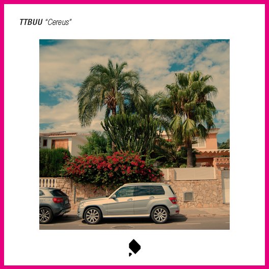 Já podem ouvir o novo set do TTBUU - Cereus!!! linguanativa.com/ttbuu-cereus-2/