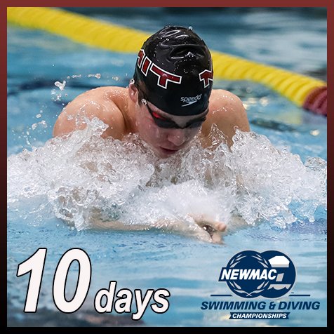 MITSwimDive's tweet photo. Let the countdown begin!!! Only 10 DAYS until the start of the NEWMAC Swimming &amp; Diving Championships at MIT! #ChampsSeason #HereWeGoTech #NEWMAC2018 #MITswimdive #TechFam https://t.co/85sM0l3CrY