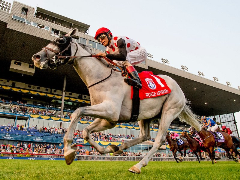 Xpressbet's tweet photo. #WorldApproval will skip the Dubai Turf and target the Kilroe Mile (March 10) at @santaanitapark &amp; the Maker's 46 Mile (April 13) at @keenelandracing https://t.co/o7zvQk6vsq