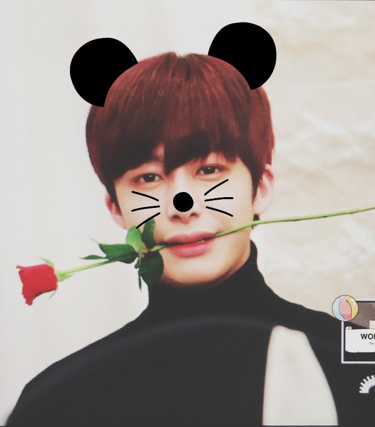 LilaFeels_98's tweet photo. I was inspired by this beautiful boy,🌹 hyungwon👦🌻 this cute turtle🐢, I adore it😍👐, how can it be so cute?😎🌷
#monbebeselcaday
#MONSTA_X
#몬스타엑스
#1000DaysWithMONSTAX @OfficialMonstaX https://t.co/br6f45Zb4H