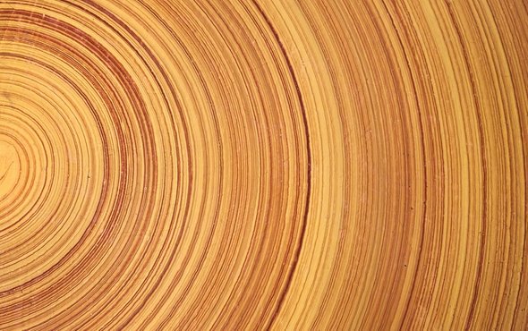 greentilemfg's tweet photo. Wood! Stronger Than Steel https://t.co/RlENHiNvpK 
#AIA #greenbuilding https://t.co/tIYAJ2myM9
