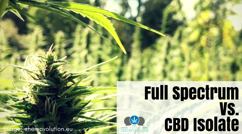 cbdinstead's tweet photo. Do you know the difference between Full Spectrum and CBD Isolate?
https://t.co/sqL51EZSTn
#CBDoil #Medicalmarijuana #CBDFeelslike @crowdfire https://t.co/4fpO4cFAvT
