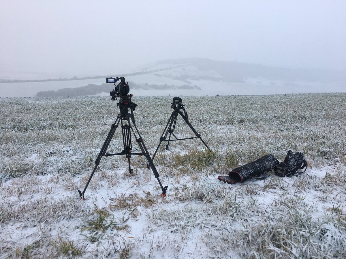 handsomeboyuk's tweet photo. Filming the fog at @RathfinnyEstate. Not warm... https://t.co/ySyv3vja4V