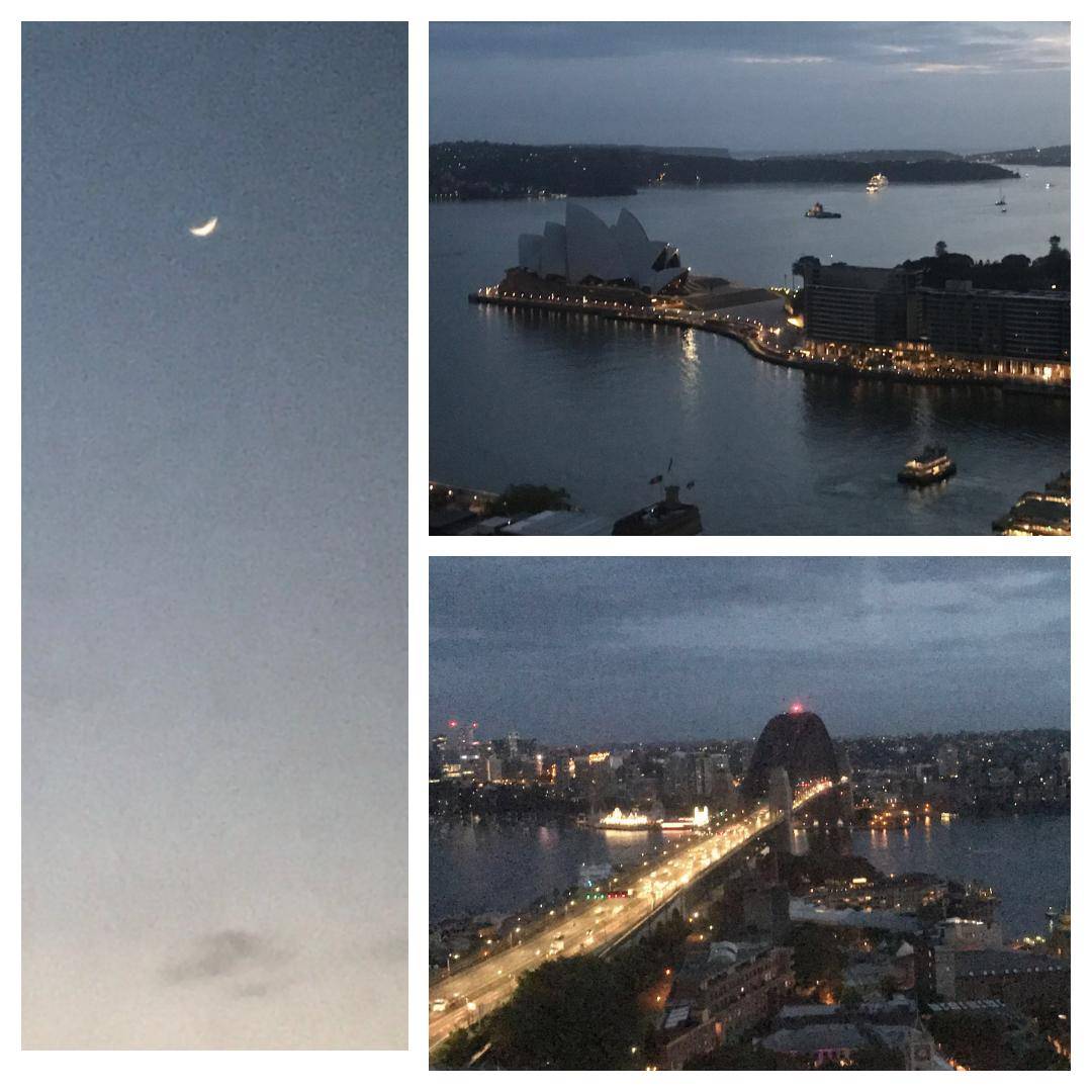 _DubbleTrubble_'s tweet photo. Beautiful views from my room in Shangri la at 5.45am - What a beautiful Tuesday morning for an hour run around the Botanical Gardens to get me focused and ready to smash it where I'll be filming our new DT! &amp; Oh! commercial all day.  #Organic #DubbleTrubble #OrganicHead https://t.co/lsDyC8KEN9