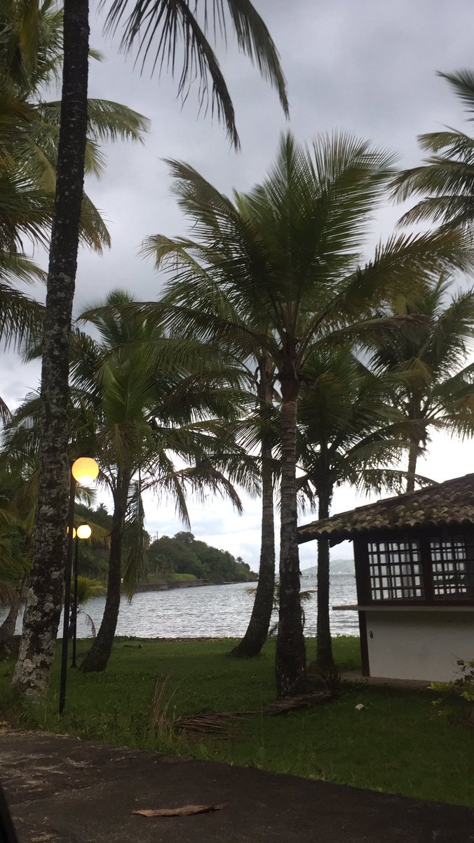 lebindandi's tweet image. Aaaaao Ilhabela ! ❤️