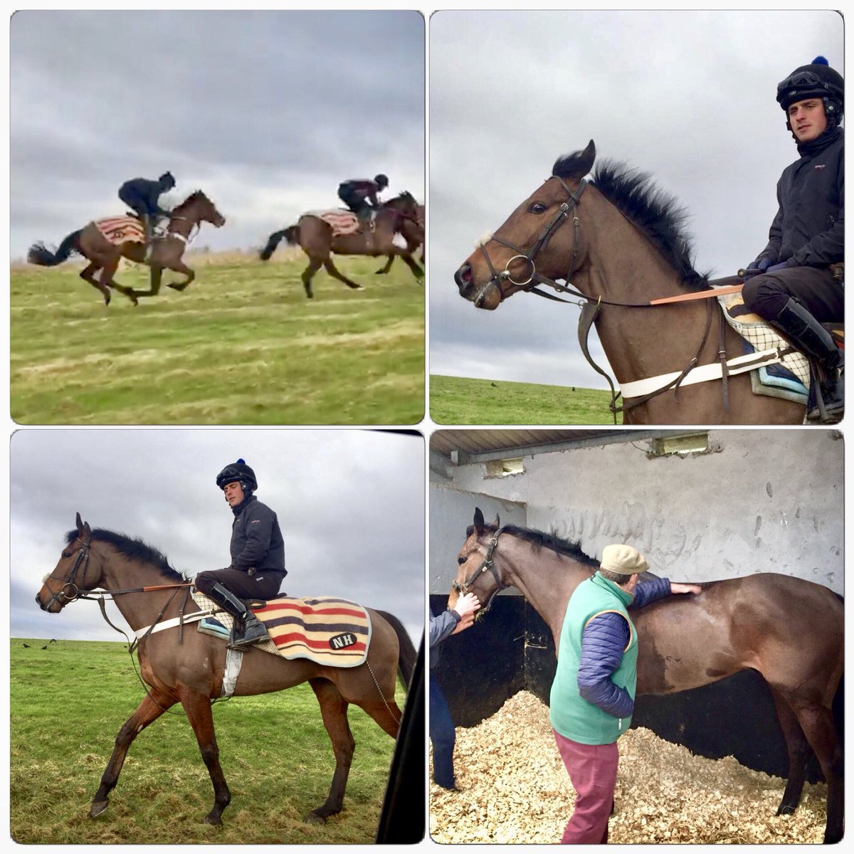 ChelseaTbreds's tweet image. Wonderful to see HUMPHREY BOGART back out on the gallops with the @sevenbarrows team doing what he does best....🐎💨