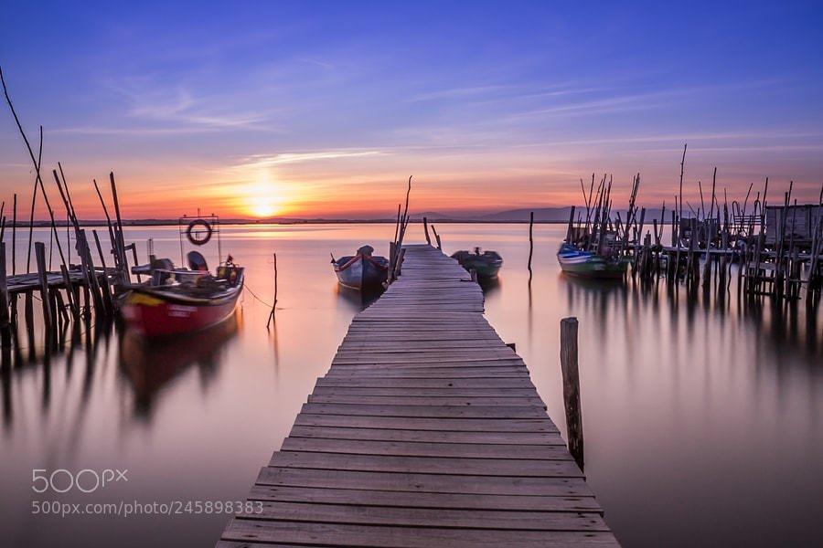 Paraphilic Harbour by Ricardo_Mateus #photo