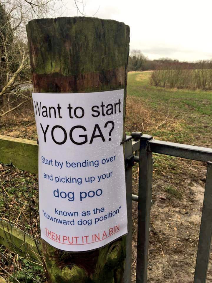 New open air #yoga starting on the #ComberGreenway #DownwardDog  #scoopthatpoop