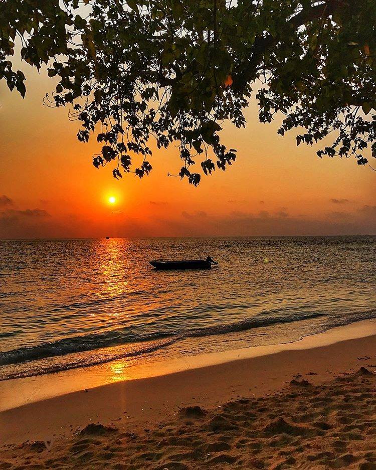 Gabriel 👑🏄 tweet media