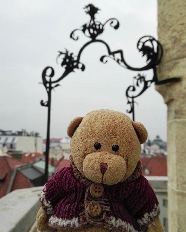PlushFriendsCZ's tweet photo. Little Teddy 🐻 at the top of the Old Town Hall 🙂 #medved #medvidek #teddybear #teddy #bear #ted #plysak #plysaci #toy #toys #plushfriends #stuffedanimal #stuffedtoy #vylet #trip #bratislava #slovensko #slovakia #visitbratislava #visitslovakia #dnesce… https://t.co/ScRATzNsC3 https://t.co/Z4LUPfXuih