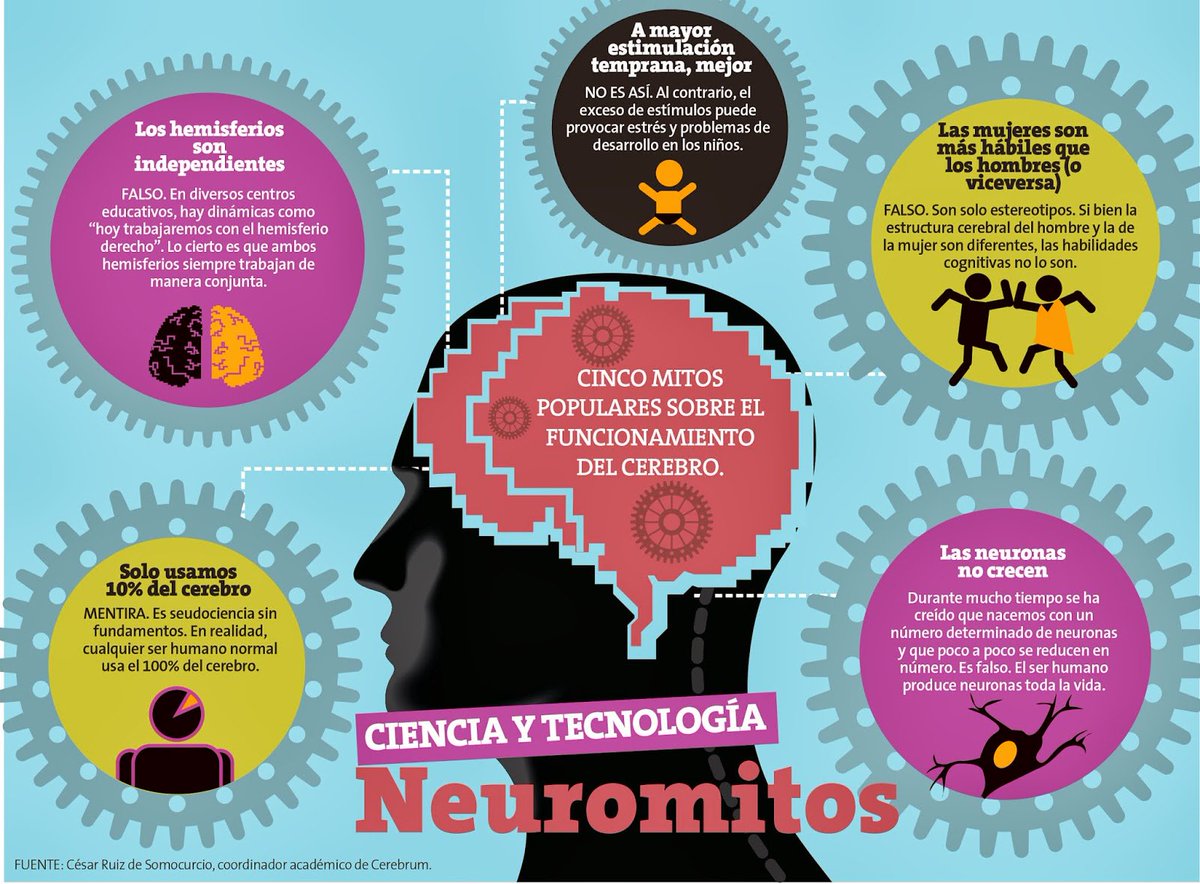 CarmenAliro's tweet photo. #EmocionalCPRMurcia
Los neuromitos más conocidos... https://t.co/NwNmNyn81n