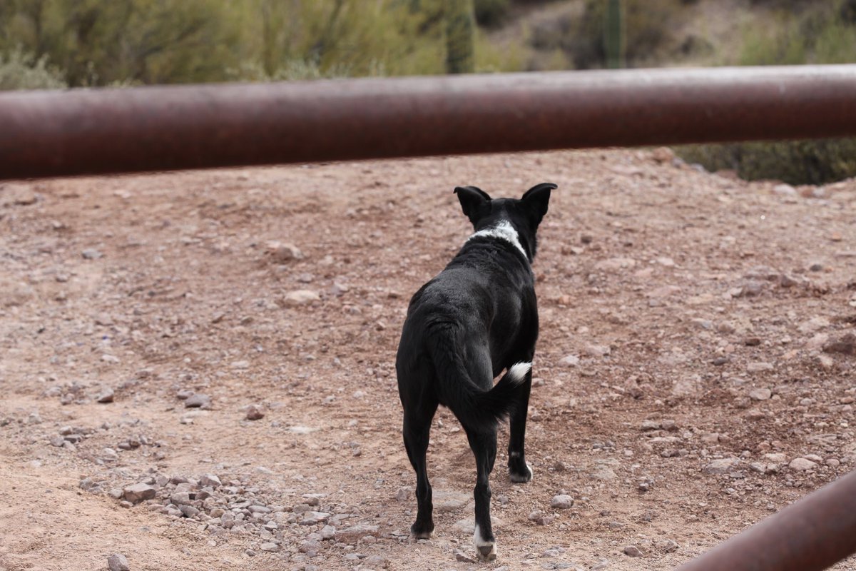 ChopperFach tweet media