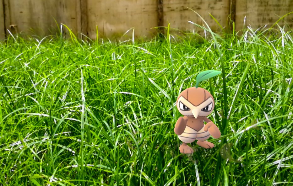 prince_je07's tweet image. Nuzleaf 😍 #PokemonGO #ARMode