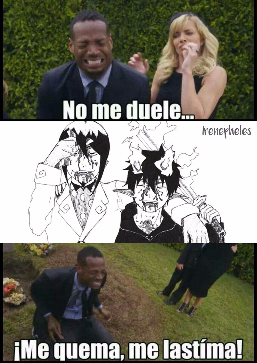 Mephisto_AcC's tweet photo. Mi humana y sus memes, se que ella no puede vivir sin mi (?) https://t.co/qy5TFyerIN