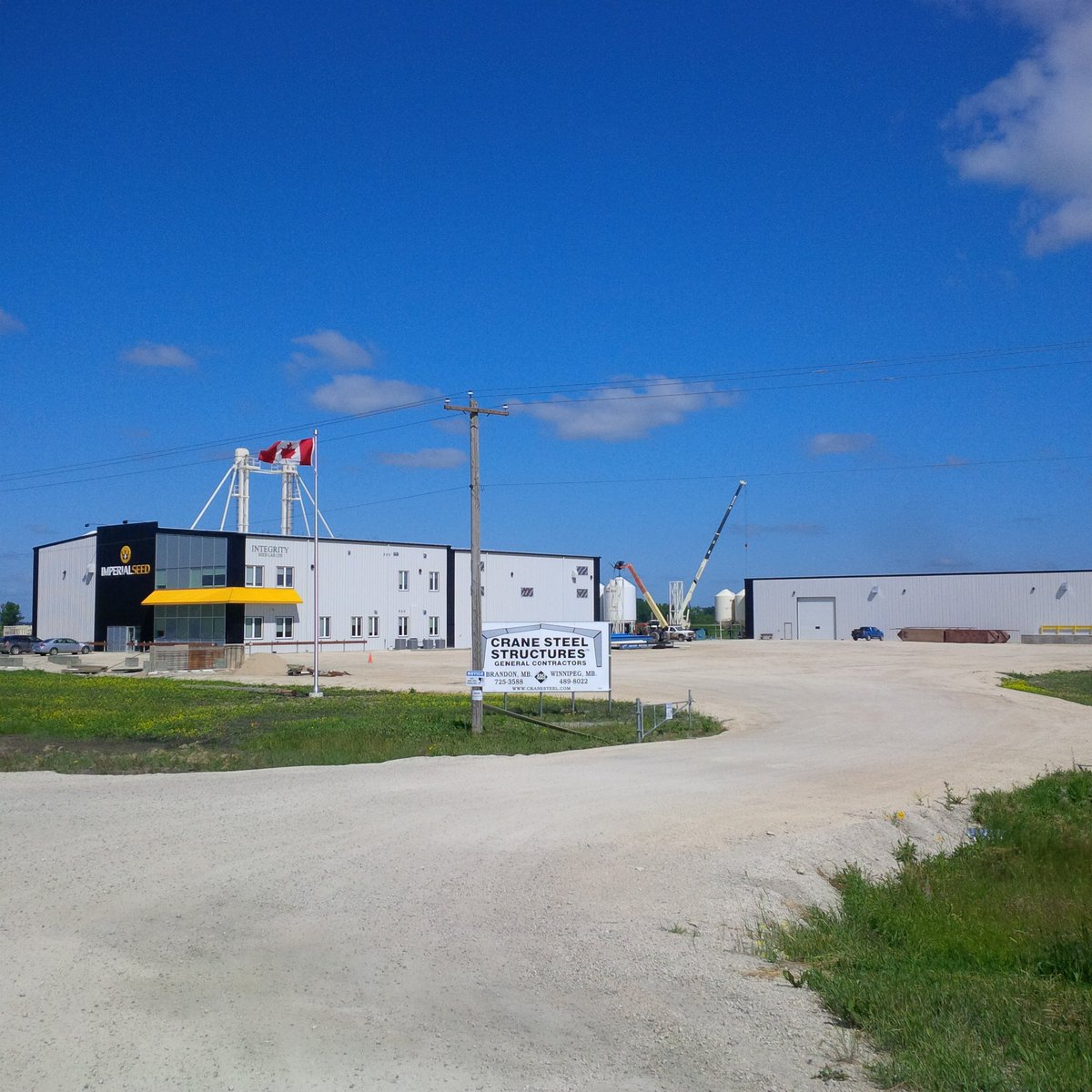 ImperialSeed's tweet photo. We are currently placing production contracts for forage and turf seed across western Canada.  If you are seeking an alternative crop with strong returns contact David @imperialseed_dm Kurt @k_shmon or Nathan @ImperialSeed https://t.co/JOiMW2l6JV