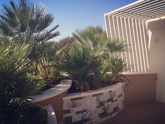 Dario schivo on twitter: terrazza di una camera da letto al primo ... Aiuole da terrazzo