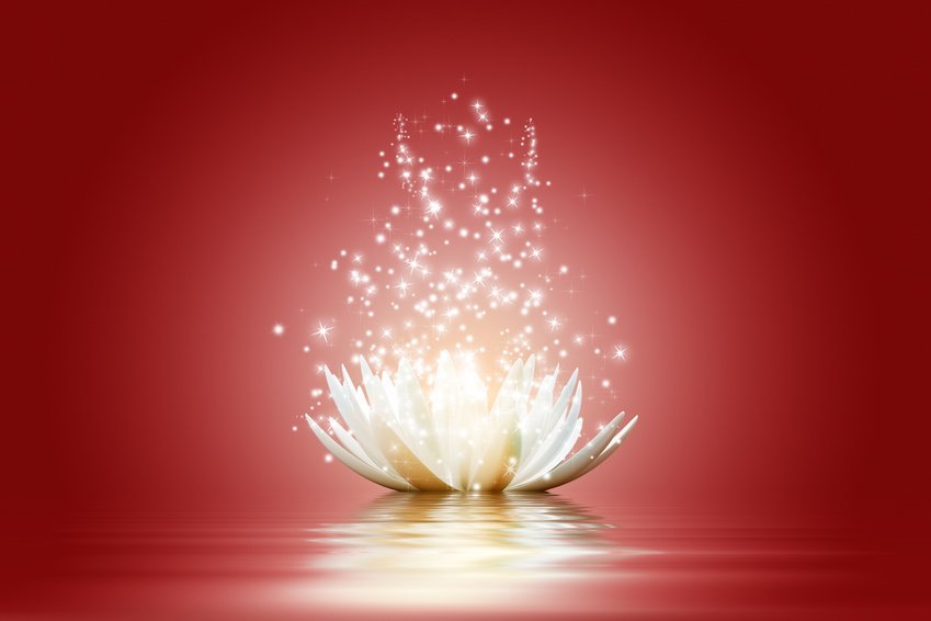 If you could have one new thought tomorrow what would you choose?  Apparently most of our thought patterns are repeats of yesterday!