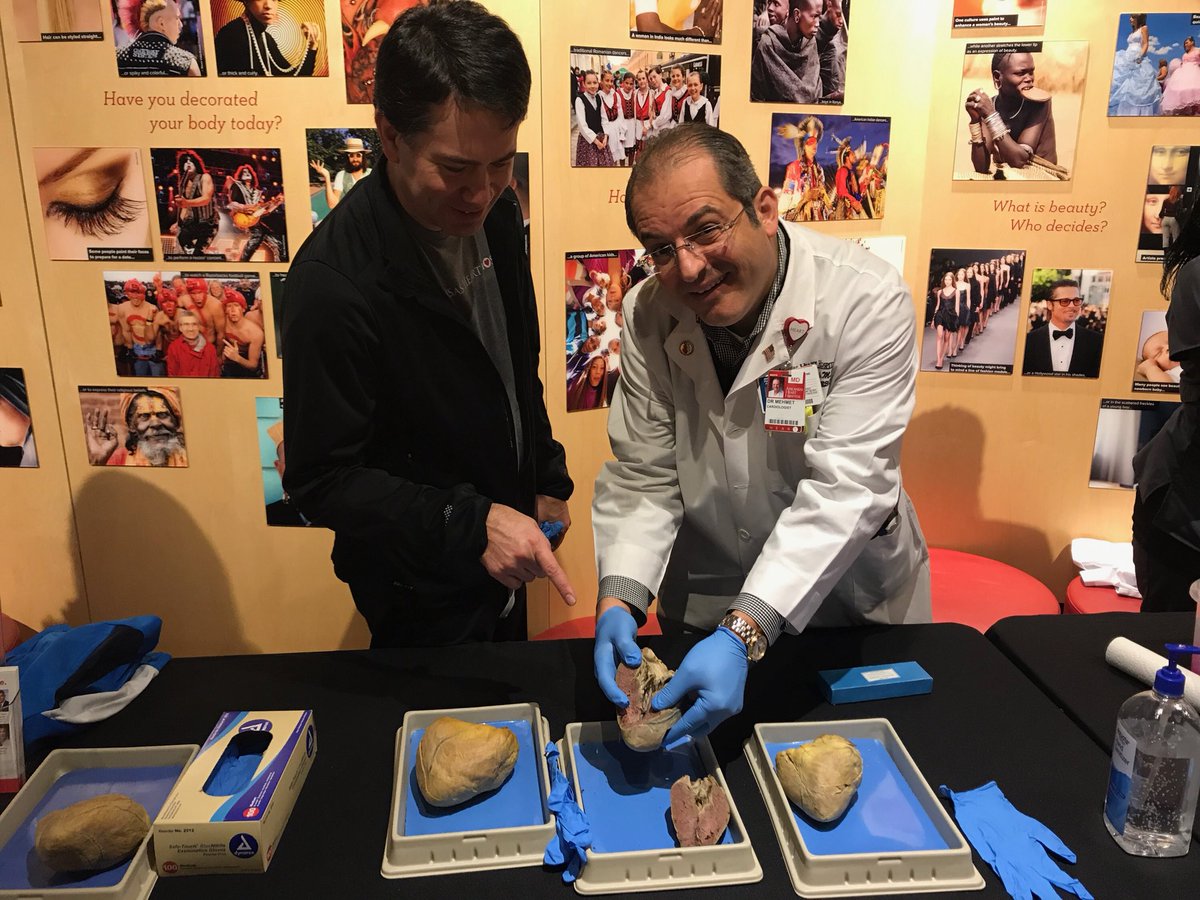 ArHeartHospital's tweet photo. Heart Health Day #2 at the @museumofdiscovery! Thank you to Dr. Freeland, Dr. Nolen, Dr. Mehmet, Dr. Paixao and Dr. Nash for making this event a success. #ONEheart #YouOnlyHaveOne https://t.co/kd5HgQF4LE