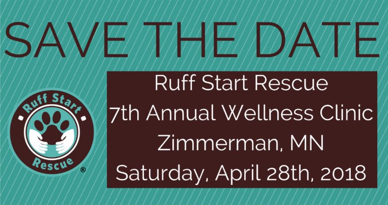 ruffstartrescue's tweet photo. #spayneuter #sidewalkdog #mplsneuter #animalwellness #minnesotadog https://t.co/Ys0PC4c6dV