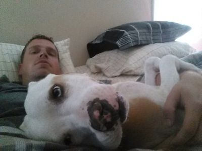 PetsforPatriots's tweet photo. After IED blast + #PTSD, combat veteran's best medicine is an adopted dog https://t.co/9MOtN2L85r #loverescuedme https://t.co/JWCwS8ngQ6