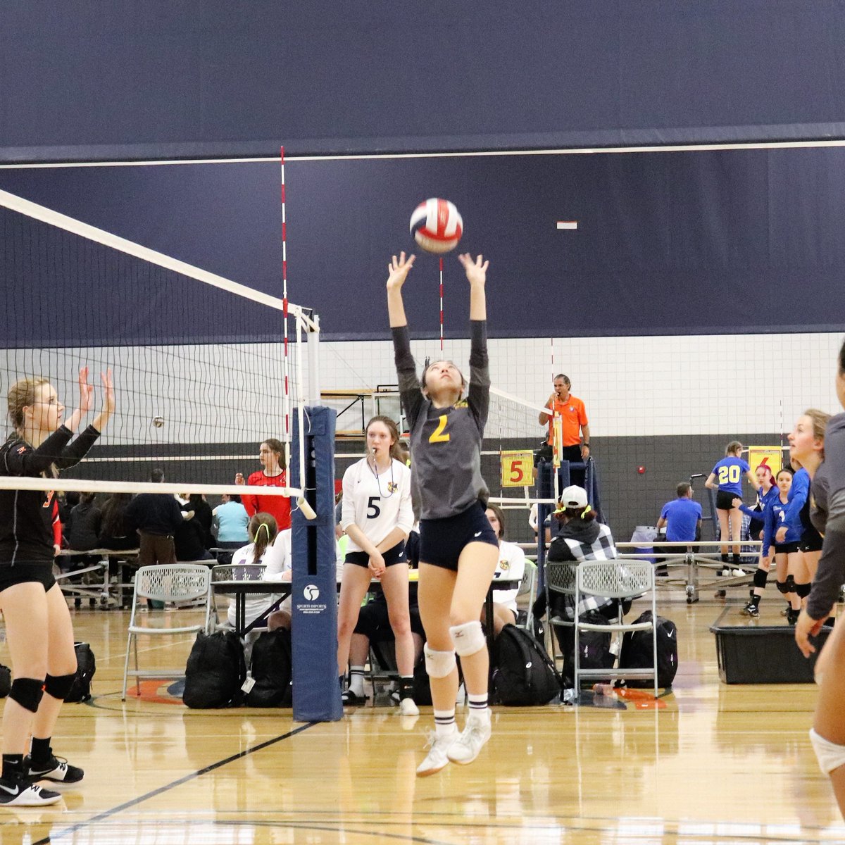 megandaviesvb's tweet photo. Fun in Prescott! Love my teammates!! @megandaviesvb Stats (Pass Rating=2.43, Assists=4.25 per set, Digs=3.63 per set, 96% Serve In, 35% Aces) #GoGenerals #cctigervb #GoEaglesAZ #CSUBvb #StampedeTogether #ProtectTheShield @gocugoVB @RegisVolleyball @UCSB_Volleyball @UNCBearsVB https://t.co/R12O5vn5fR
