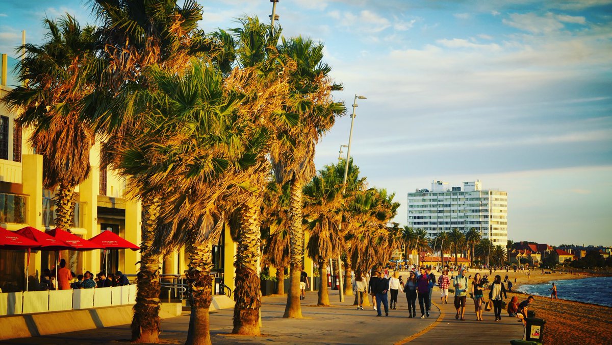 Monitor CRMS tweet media