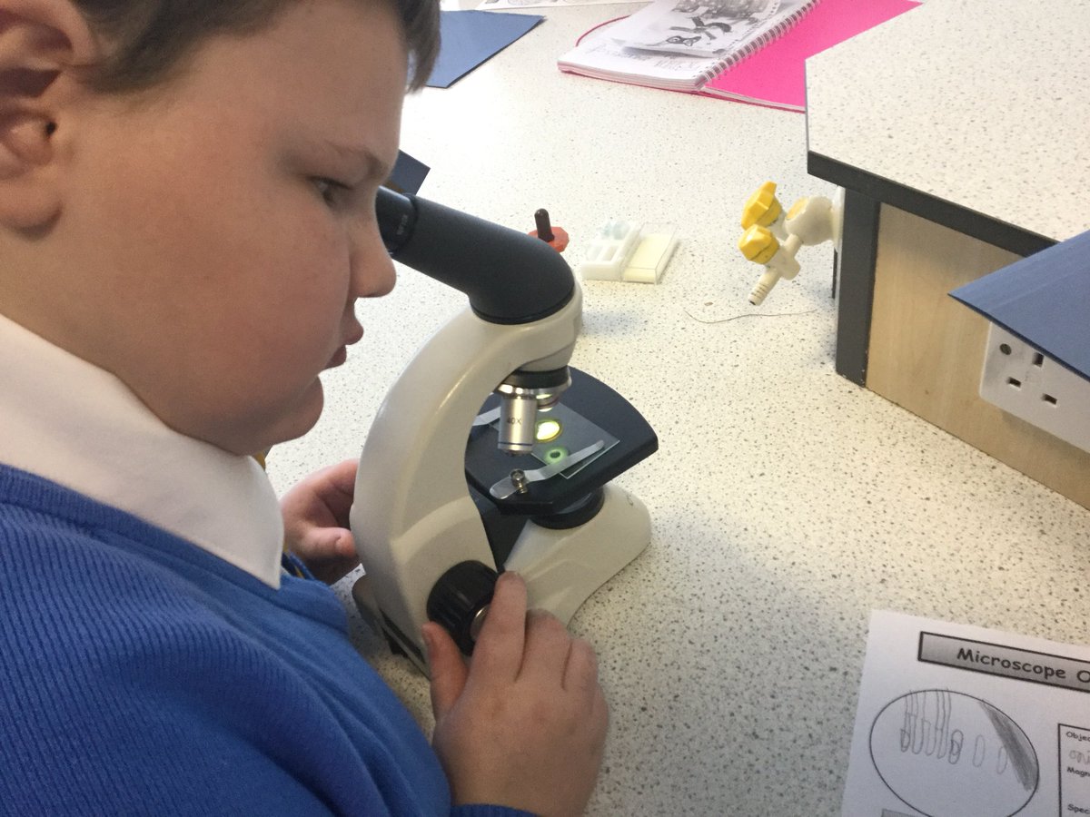 So we decided we weren’t getting enough #microscope action. So we set up a little #year5science microscope 🔬 club. Each week these little scientists studying something new down the eyepiece. They are loving the world 🌎 of the very small.