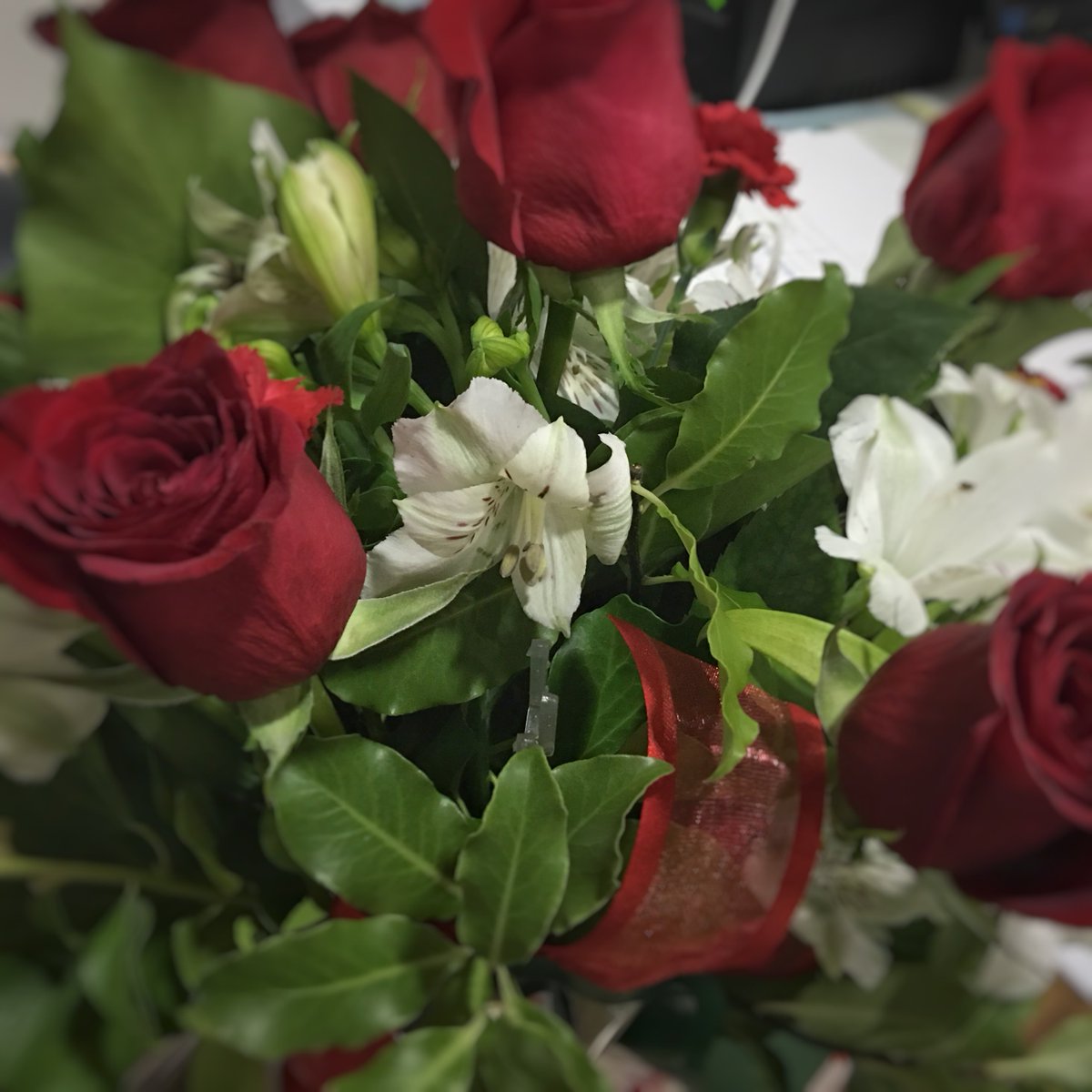 Lambert Estate Wines tweet media