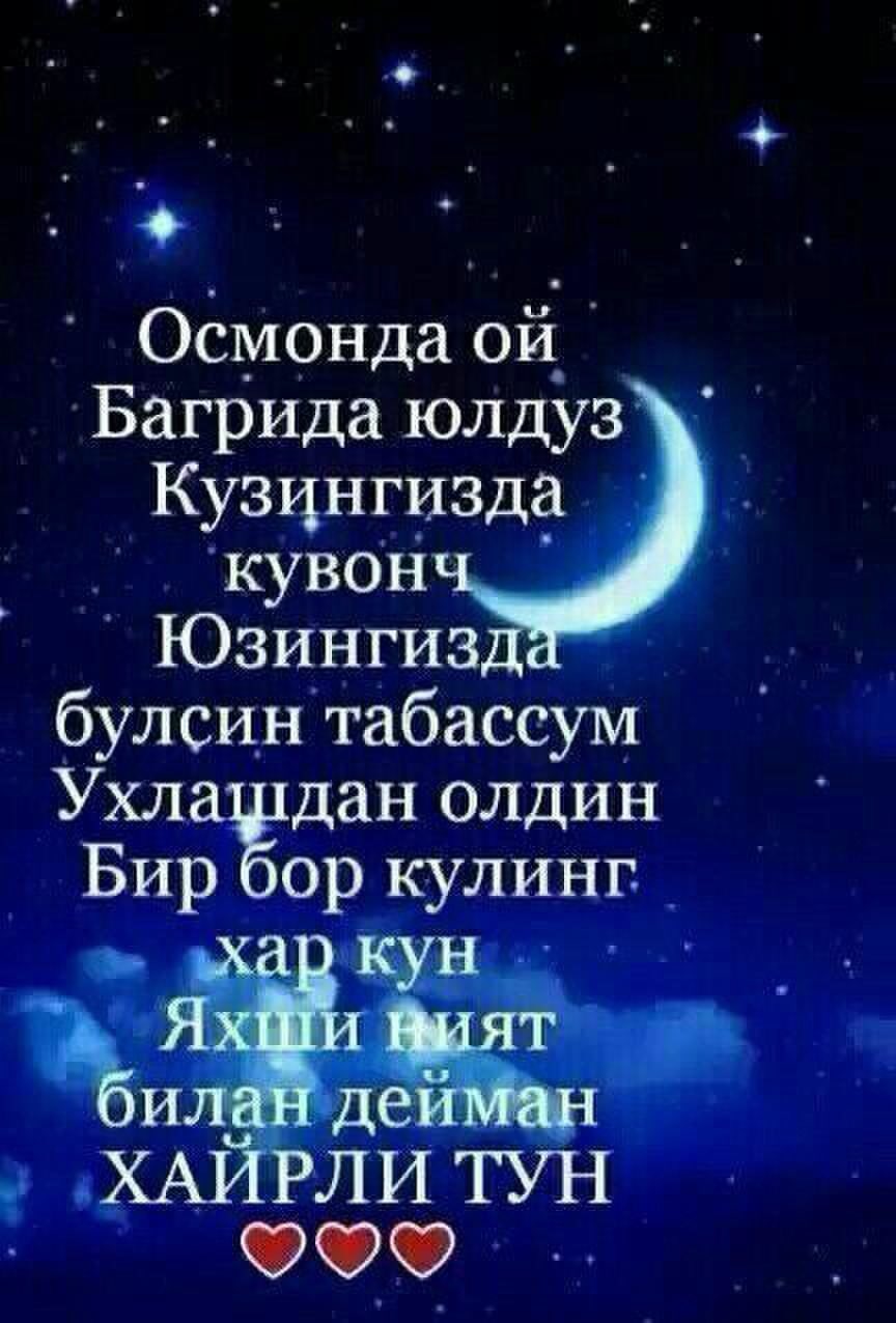 Хайрли тун шерлар