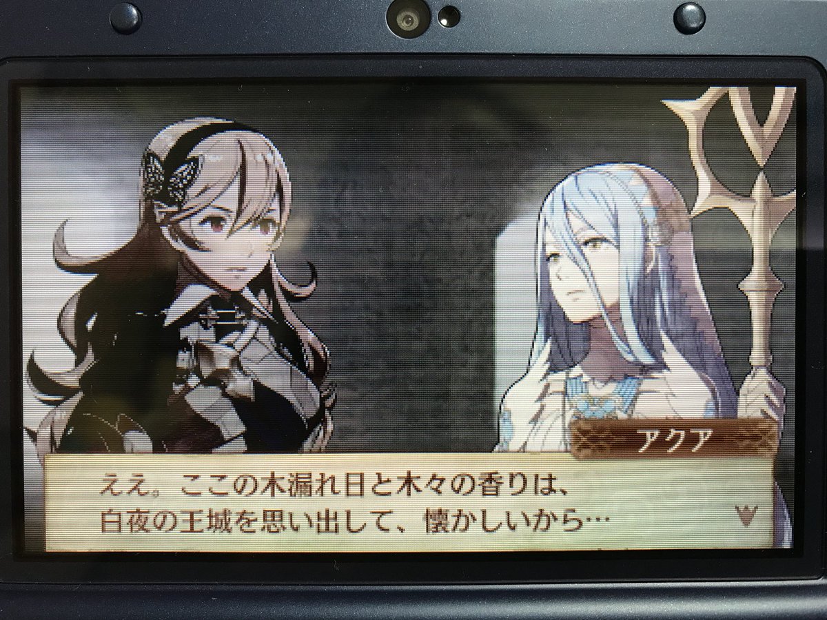 愛 カムイとアクアの支援レベルがcに上がりましたー 白夜と暗夜では色々と違いがあるんだなー 暗夜は日中でも薄暗いらしいけど 白夜は夜でも明るいとかかしら Feif ファイアーエムブレムif