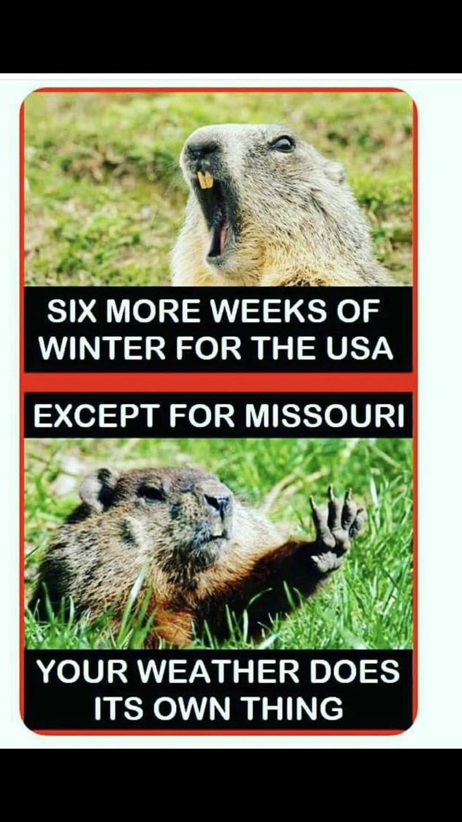 jessipope323's tweet image. Truth! #MOweather #sandalsnsnowbootsn1