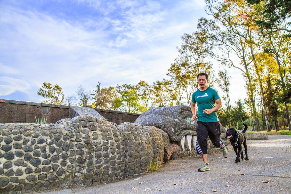 ChapultepecCDMX's tweet photo. #RecuerdaQue Si visitas la Segunda Sección del Bosque con tu mascota, llévalo con correa y recoge sus heces ¡Conservemos nuestro bosque! https://t.co/thZiOOXY5J