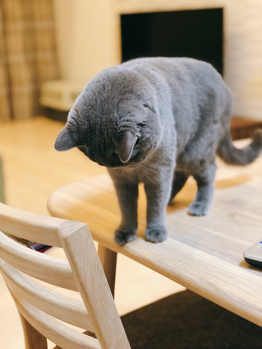 소심하게 알짱대는 부리 귀엽다