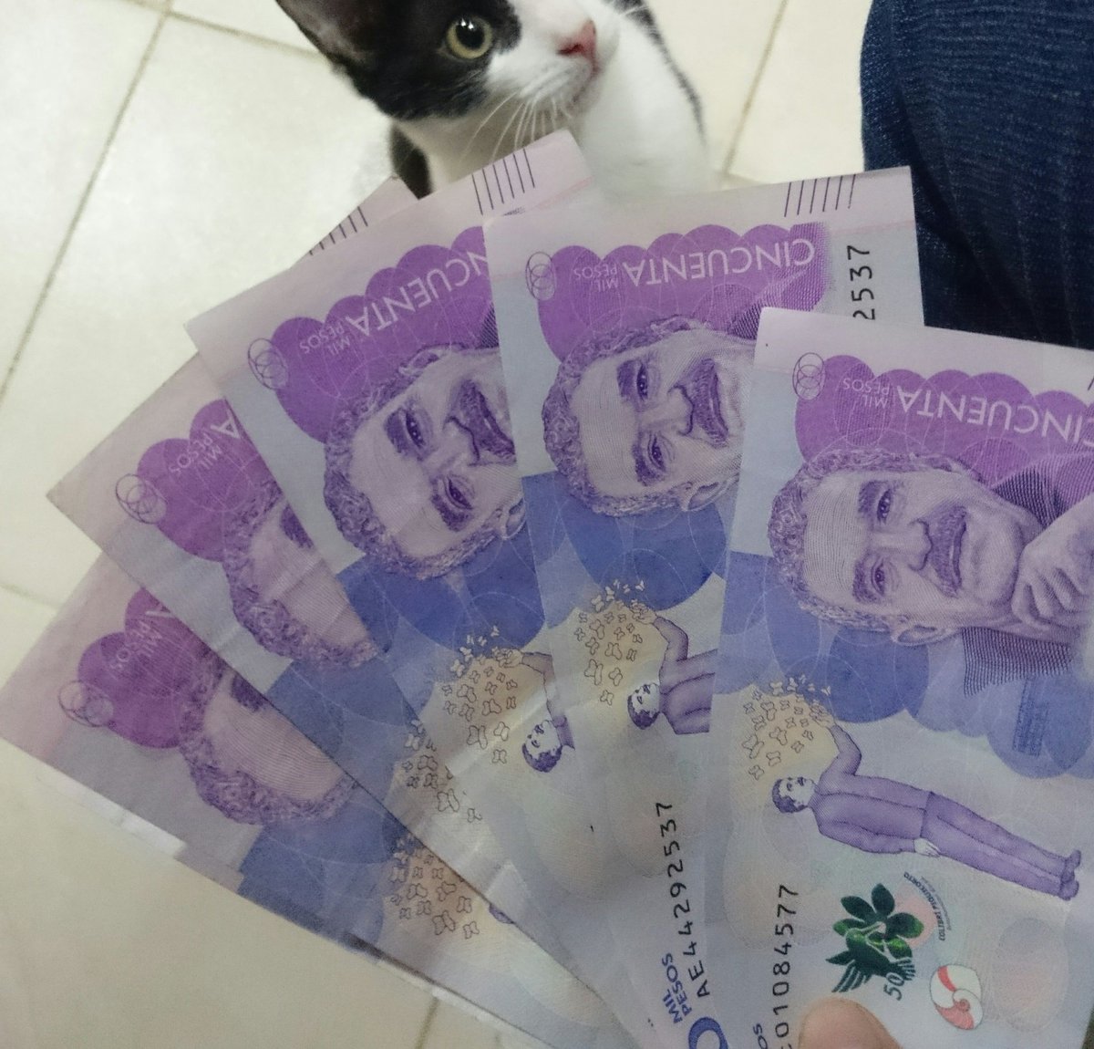 ¡¡OIGAAAAAAN!! 

No creía en eso de las fotos de los billetes, sólo una vez le di RT... Ahorita fui a comprar algo de comer y ¡pum! encontré 300.000 enrollados ahí en el andén. 

Si quieren, denle RT, en serio funcionaaaa 😅😱😅😱