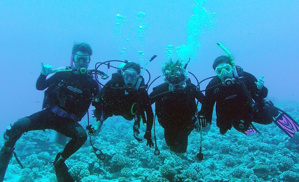 Happy #Darwin Day! We study evolution and biomechanics of reef fishes. I have always wondered how Charles' ideas might have developed (differently, faster?) if he had had mask, snorkel, fins, or air tank! #IStudyEvolution