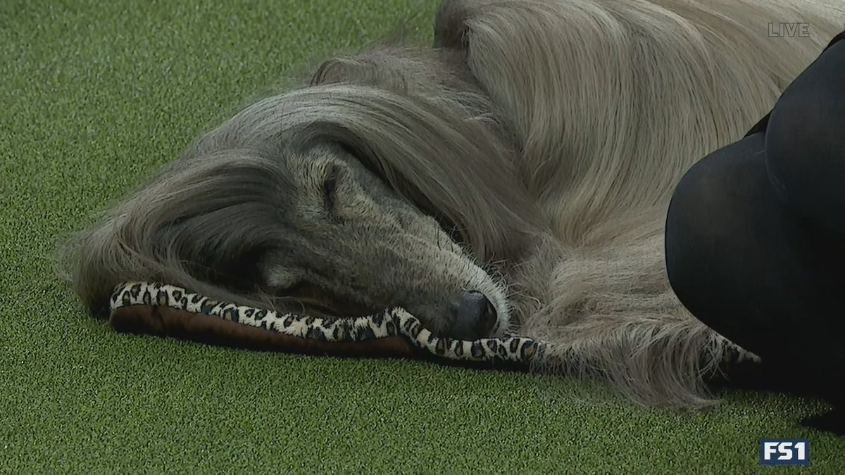 When you've had a ruff day