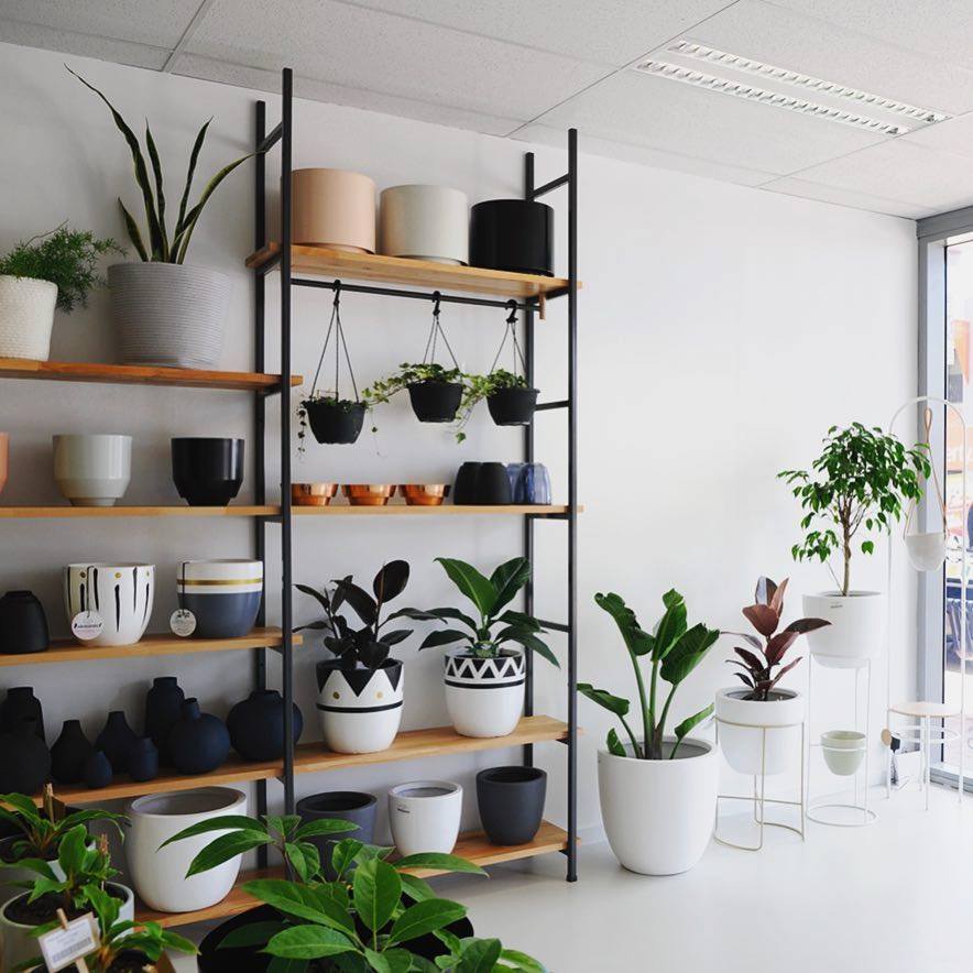 Monocelvarnish's tweet photo. If you are as crazy about indoor plants as we are you'll want to check out @hassandco. This botanic heaven is located on Oxford st, Leederville where you'll find a variety of vases, pots, plants and art #inspo #whatson https://t.co/z50sFUefr2