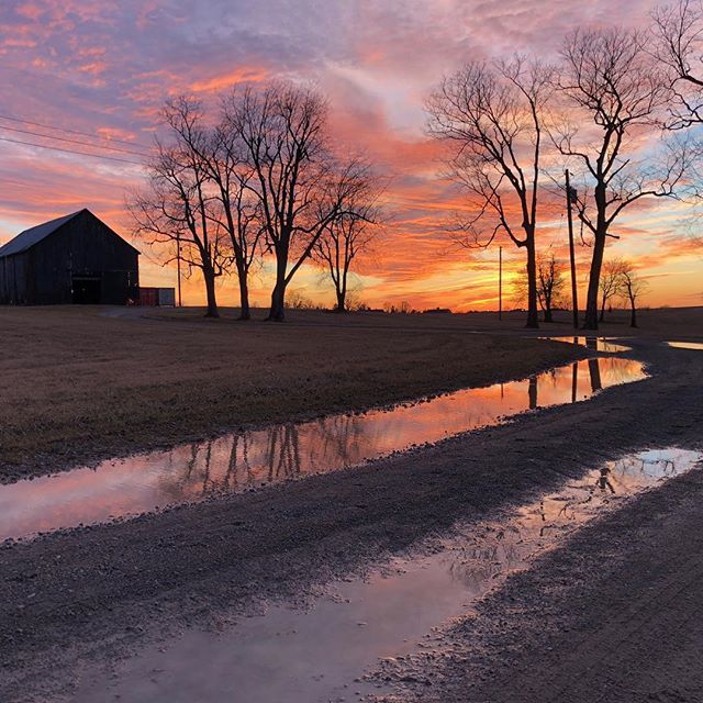 Hilary Baumann ➕ tweet media