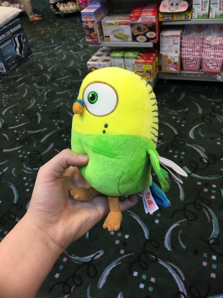 QueenOfTheSalt's tweet photo. @atisutori I found Chewy out shopping #abudgieslife https://t.co/g7woI0q1O4