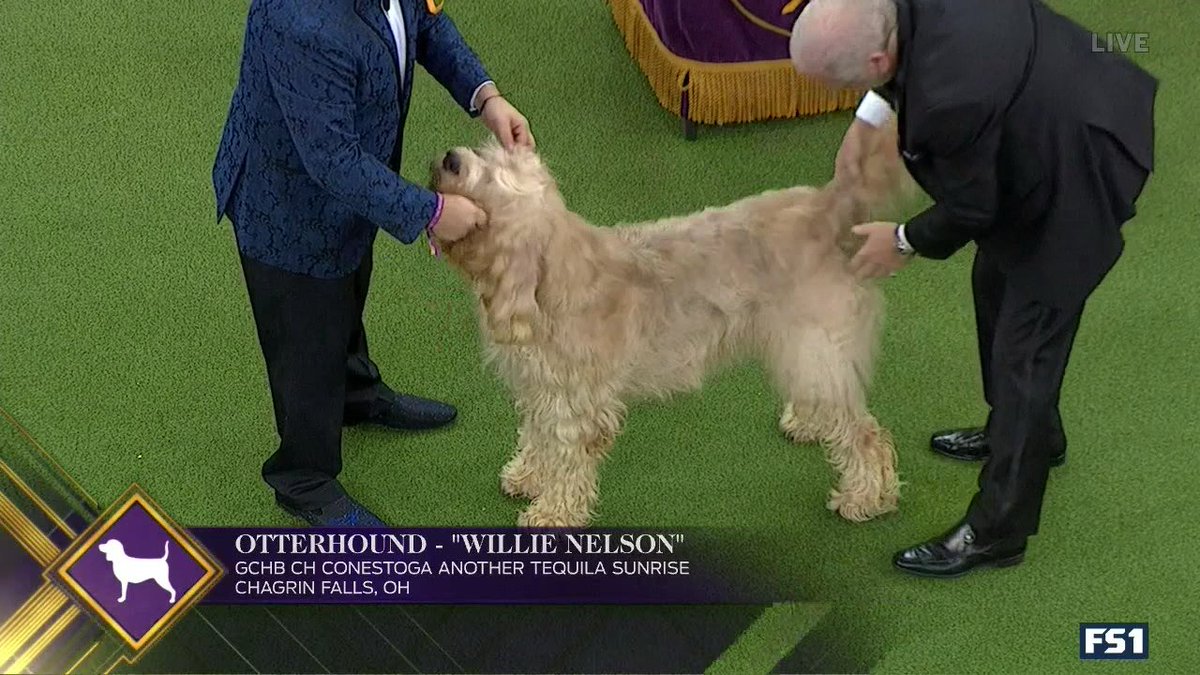 SB Nation GIF tweet media