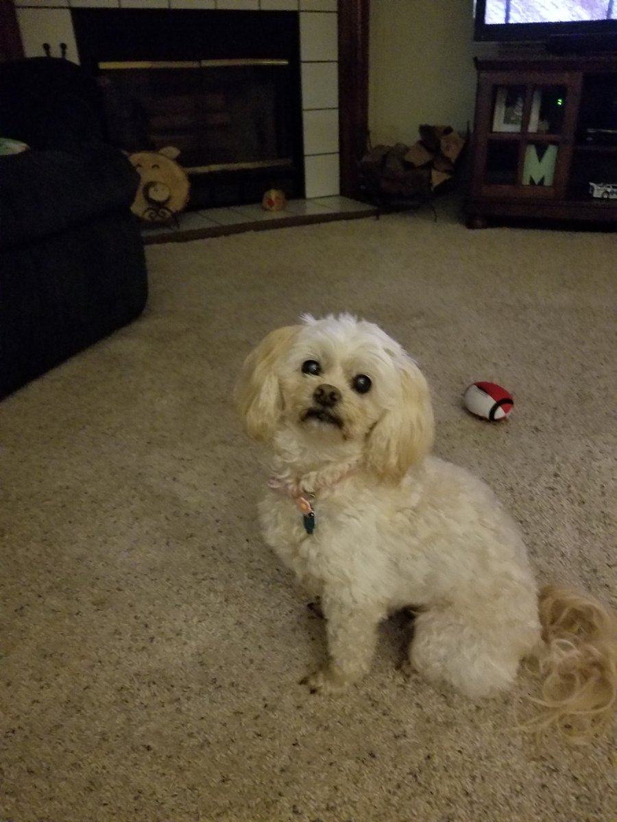 LateModel60's tweet image. Hi Rick!
@DirtonDirt 
@dirtvision 
#savannahga
#SIXOHMOTORSPORTS