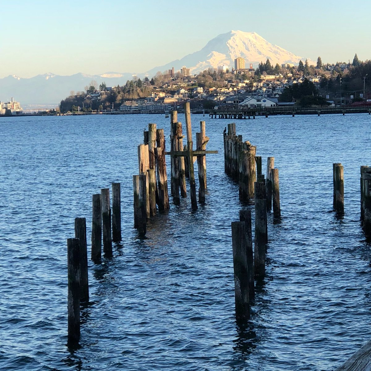 julieferg's tweet photo. Quick. Gotta train for the 10 Mile Credit Union Cherry Blossom Run in DC. Training runs while working around the county - waters edge in Tacoma, WA. #CUCB2018 #needtostepitup https://t.co/jsSeLbzE9x