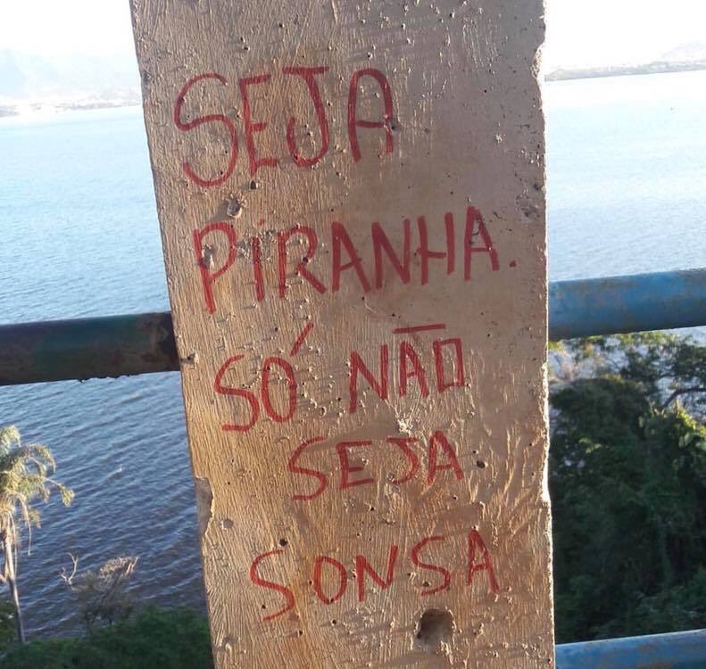Garota Ciúme tweet media