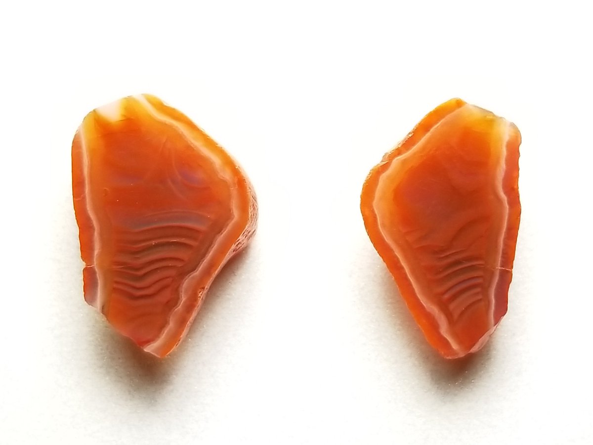 GetPickin's tweet photo. #Unique banding on these little Lake Superior Agate Stud Earrings!
https://t.co/CWQ9msXtrS 
#lakesuperioragate #hiddenbeauty #neverbeenseen #old #naturalbeauty #handmade #getpickin #lightemup #glows #mnnice #onlyinmn https://t.co/sOSEKybZmL