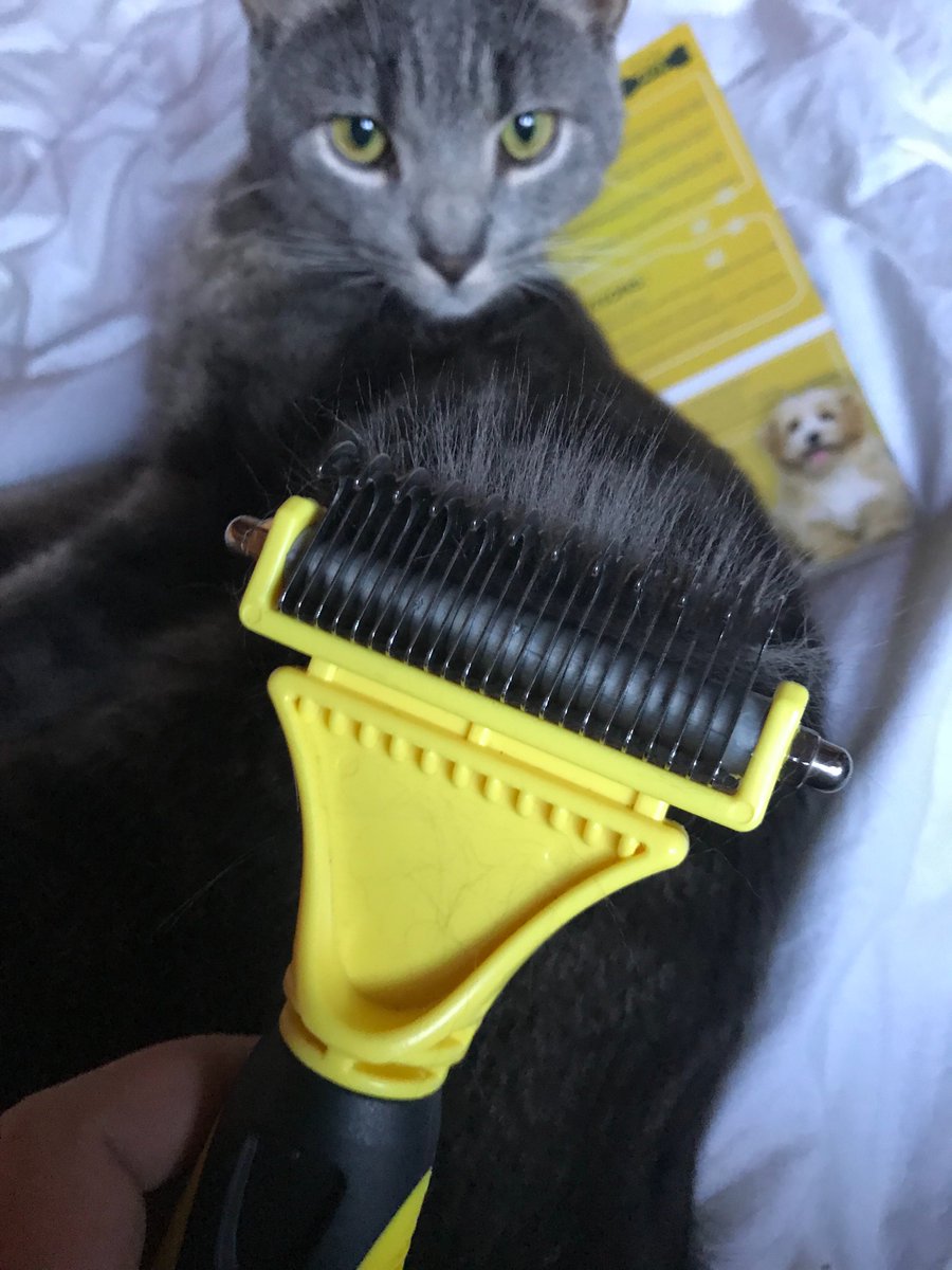 Abigail Jane On Twitter Awesomepets Dematting Brush Comb The
