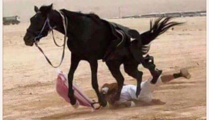 العقربجي على تويتر: أحب أغلى المهرات وأحب ترويضها من كل جانب