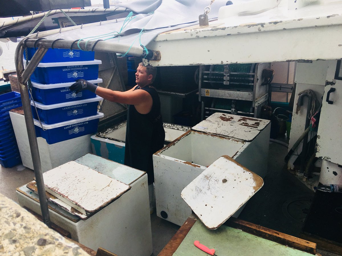 Our Tuesday unload getting ready to head your way! These rainy and wet days make me appreciate the hot sun. #hooktocook #longlining #fishermen
