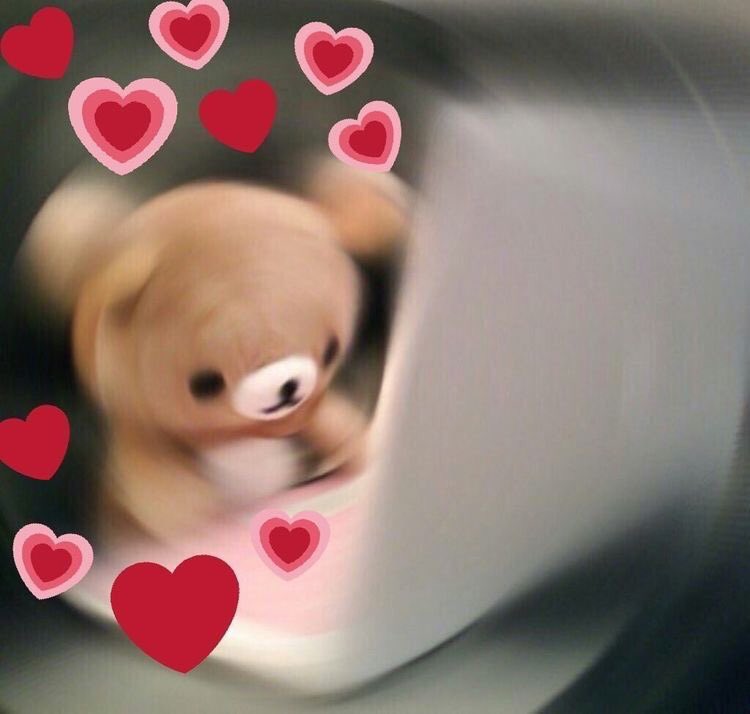 Twitter Memes Love And Reaction Image 6420467 On Favim Com